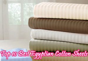 Top 10 Best Egyptian Cotton Sheets of 2021 - Top Ten Best Lists