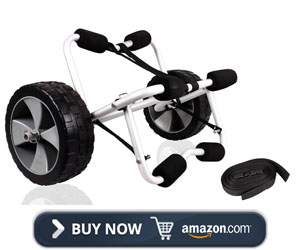 TMS CART
